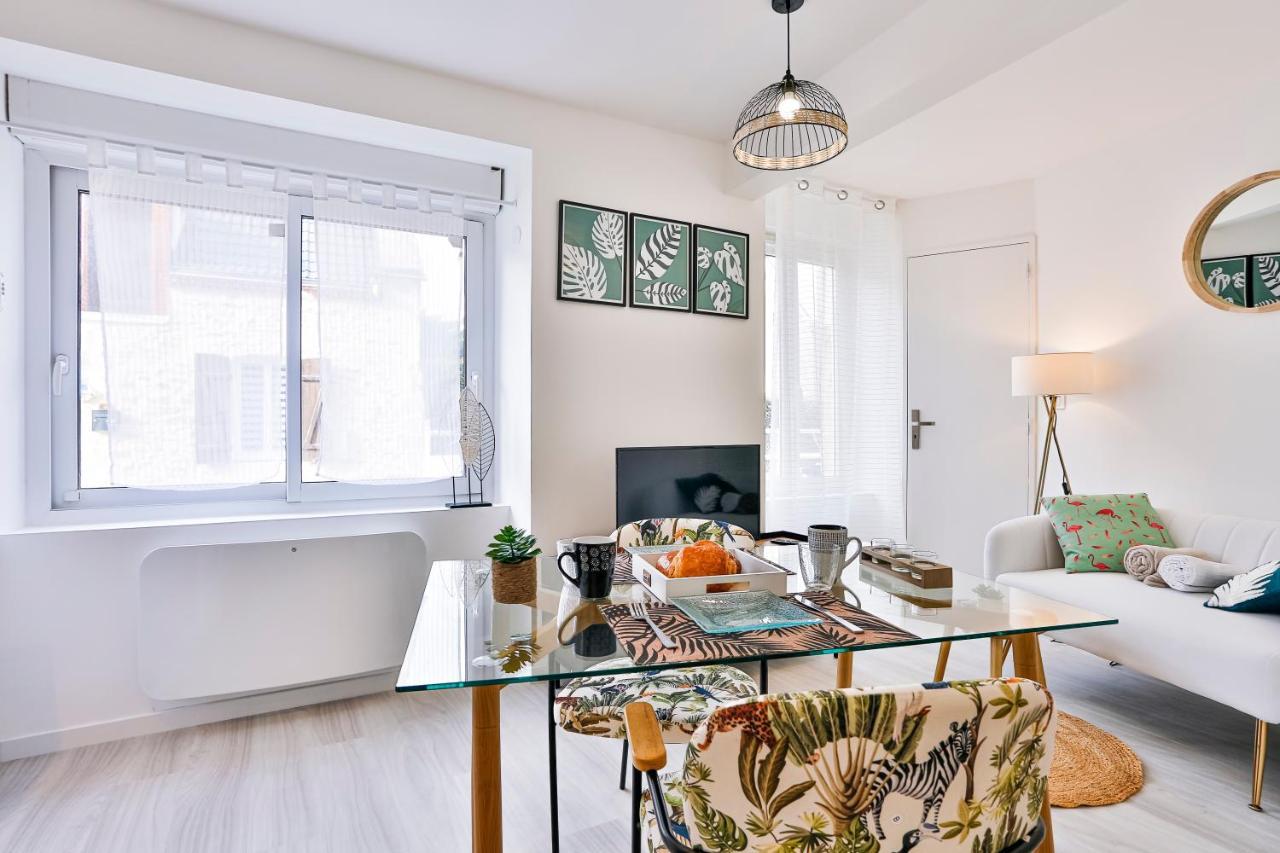 Apartamento Little Jungle - T2 Avec Parking Vierzon Exterior foto